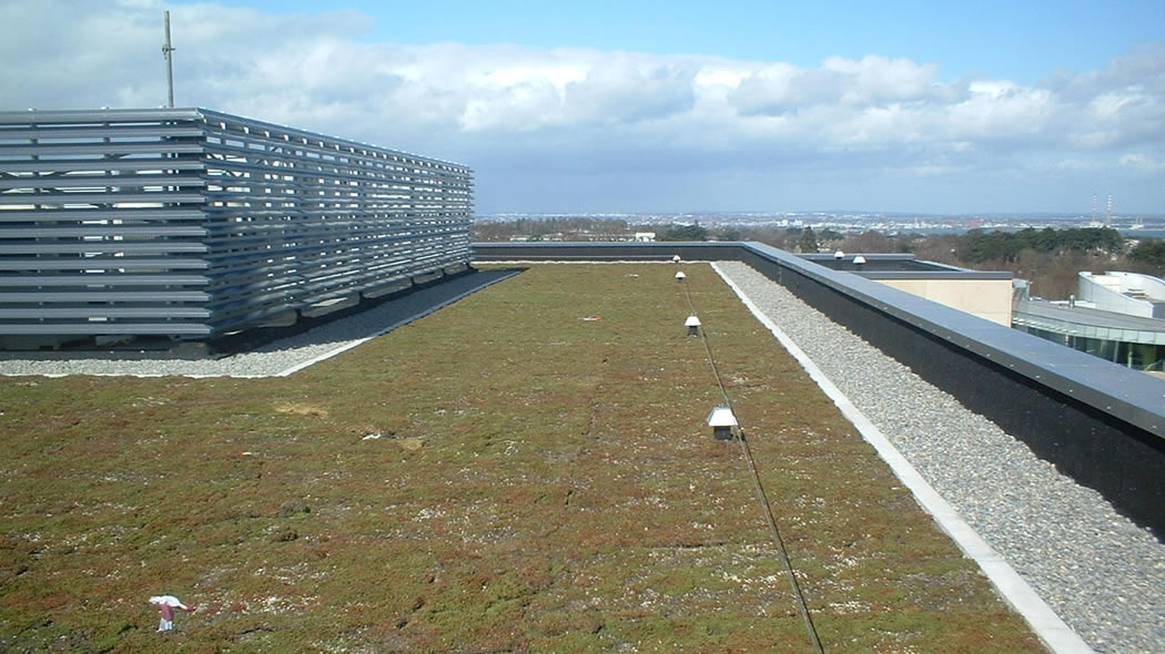 IKO Green Roof The Roof Centre